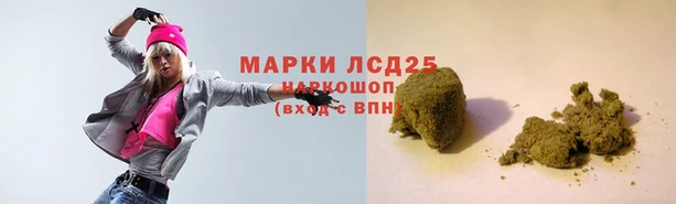 ПСИЛОЦИБИНОВЫЕ ГРИБЫ Арсеньев
