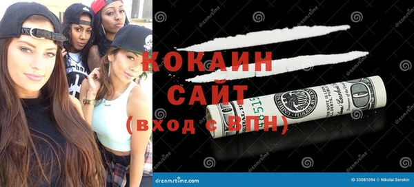 индика Армянск
